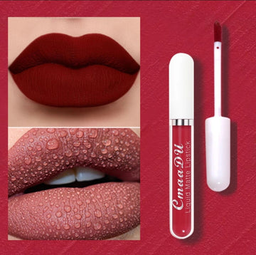 Summer Girl Long Lasting Waterproof Matte Lipgloss Lipstick